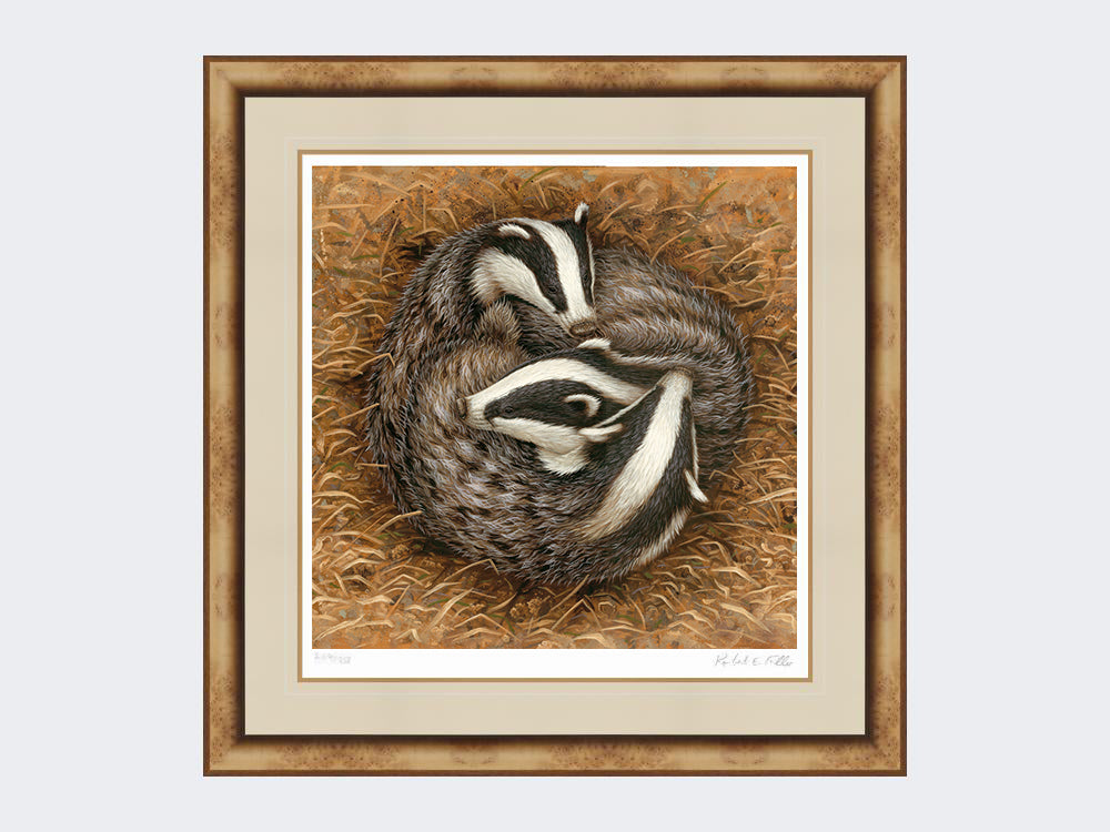 badger-sleeping-circle-medium-light-burr