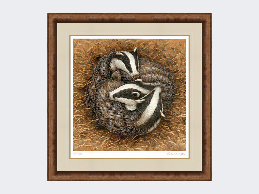 badger-sleeping-circle-medium-walnut-burr