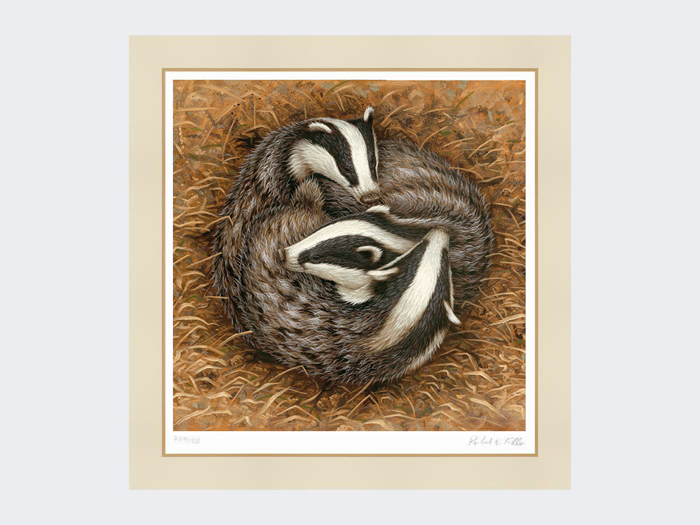 badger-sleeping-circle-mounted