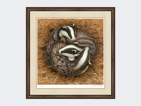 badger-sleeping-circle-small-grey-burr