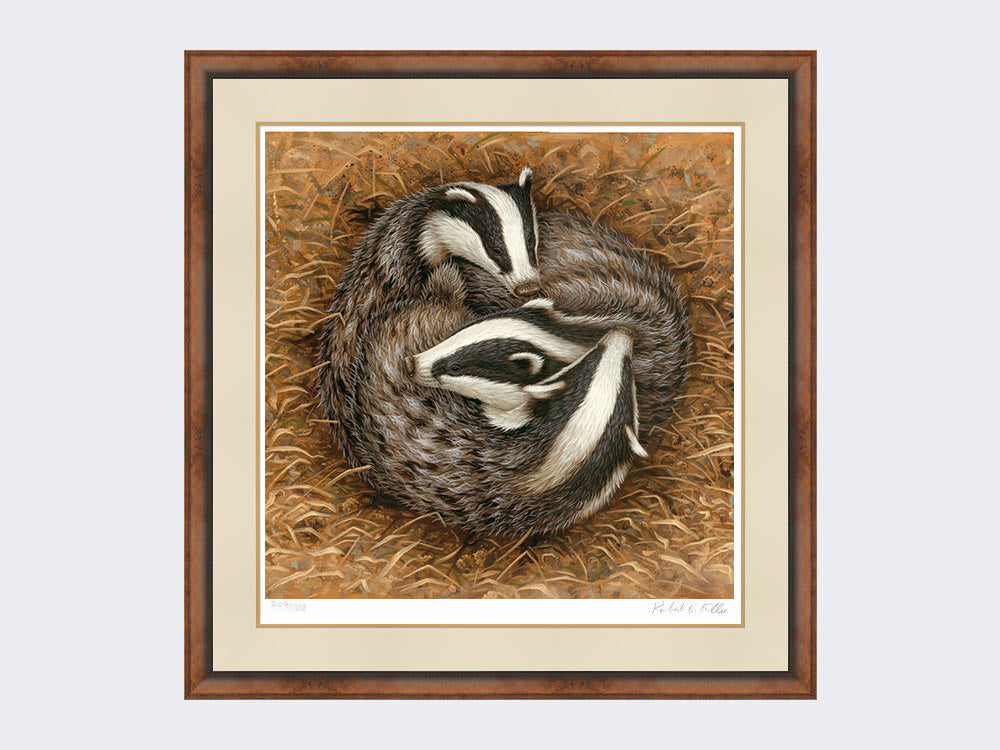 badger-sleeping-circle-small-walnut-burr