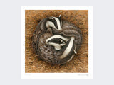 badgers-sleeping-circle-loose-print