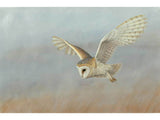 barn-owl-lookout-christmas-card