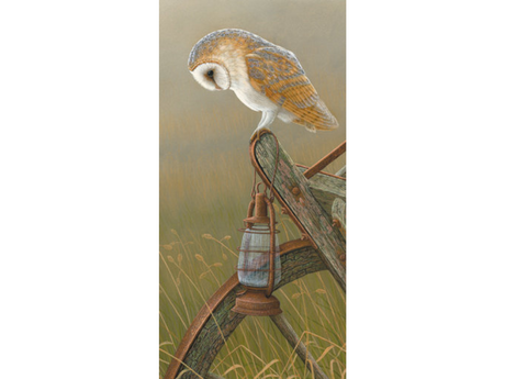 barn-owl-storm-lamp