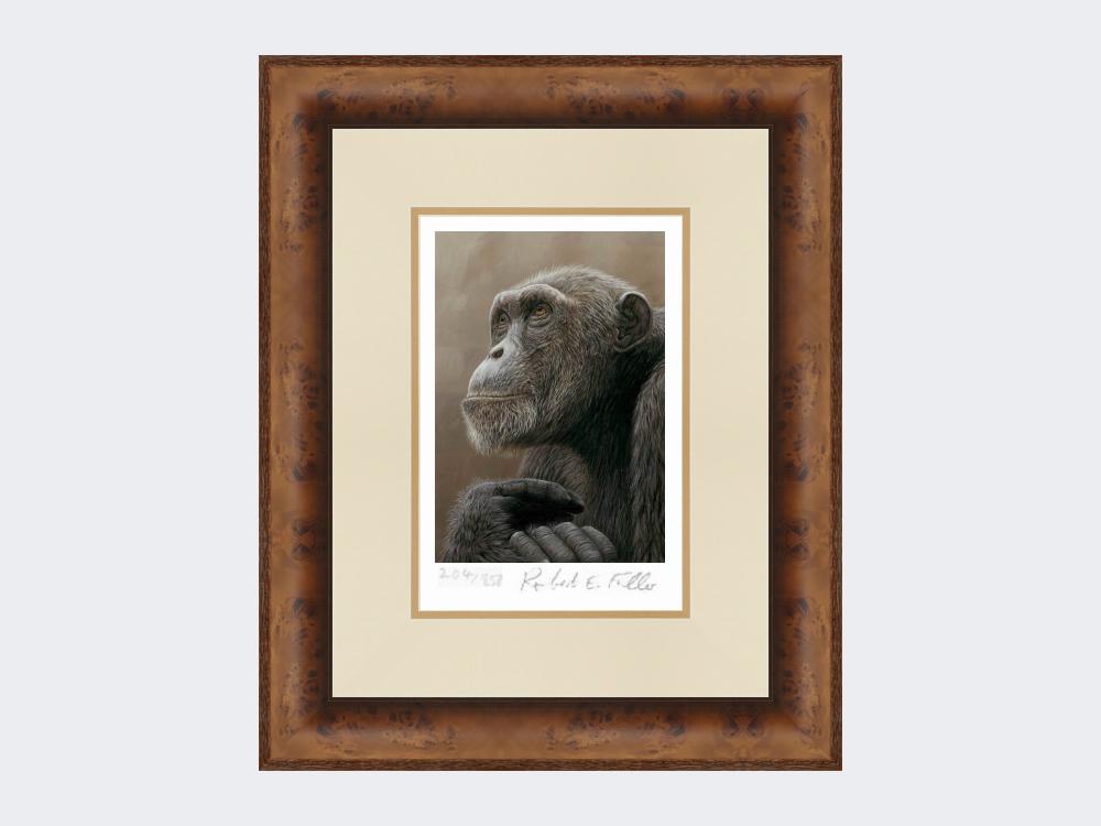 chimp-of-mahale-print-Medium-Walnut-Burr