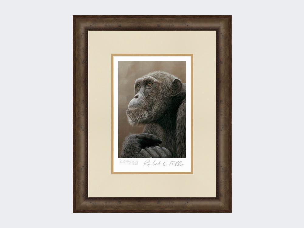 chimp-of-mahale-print-Small-Dark-Grey-Burr