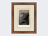 chimp-of-mahale-print-Small-Walnut-Burr