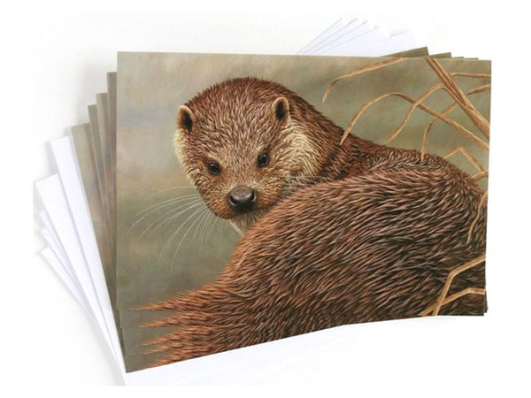 Otter | Pack of 5 Christmas cards