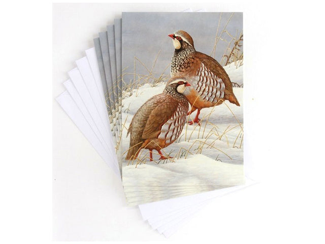 christmas-card-red-legged-partridges-in-snow-1