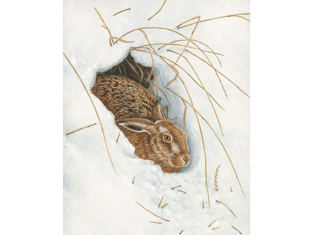 christmas-card-snow-hare-1