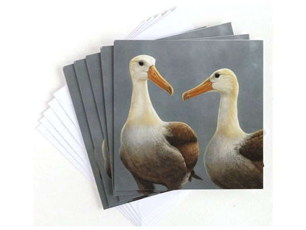 Waved Albatross | Pack of 5 Christmas cards