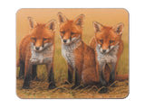 coaster-fox