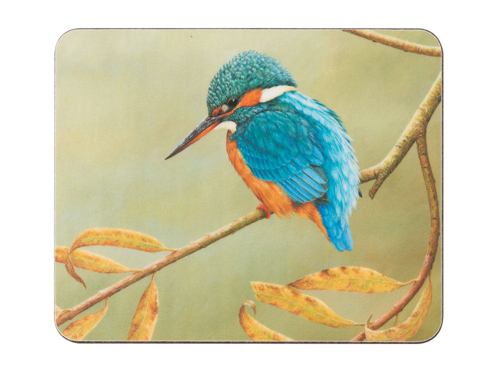 coaster-kingfisher