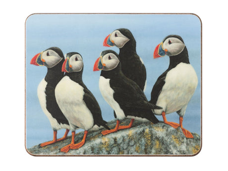 coaster-puffin