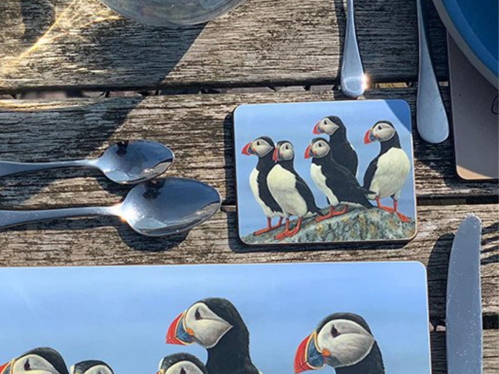 coaster-puffin