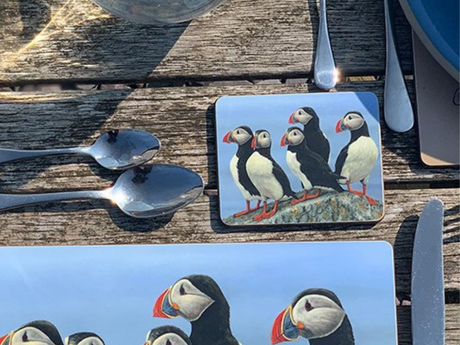 coaster-puffin