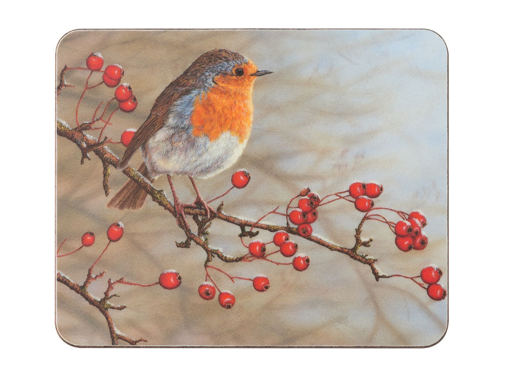 coaster-robin