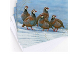 Covey of Patridges | Pack of 5 Christmas cards