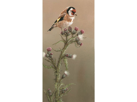 goldfinch-thistle-gift-card