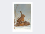 hare-shaft of light-loose-print