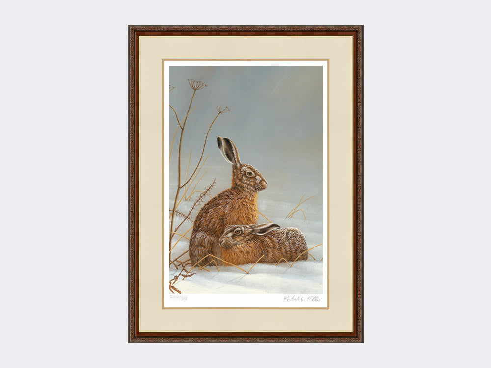 hares in shaft of light - harvest-twist