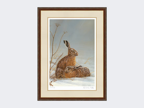 hares in shaft of light - harvest-twist