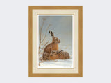 hares in shaft of light-light-oak