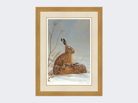 hares in shaft of light-light-oak