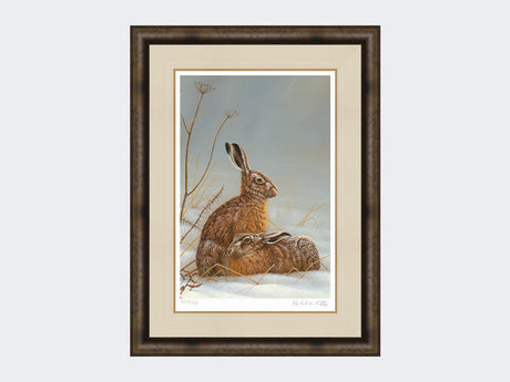 hares in shaft of light-medium-grey-burr