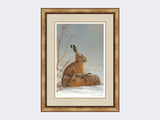 hares in shaft of light-medium-light-burr