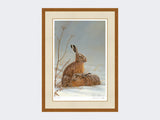 hares in shaft of light-rustic-country