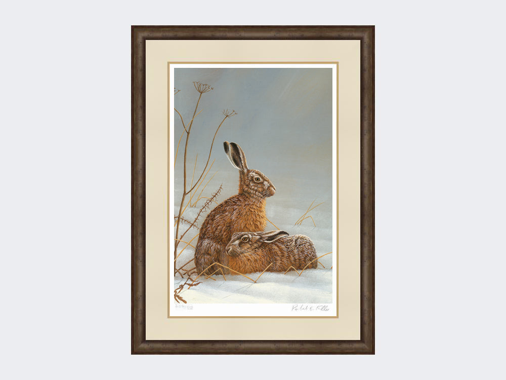 hares in shaft of light-small-grey-burr