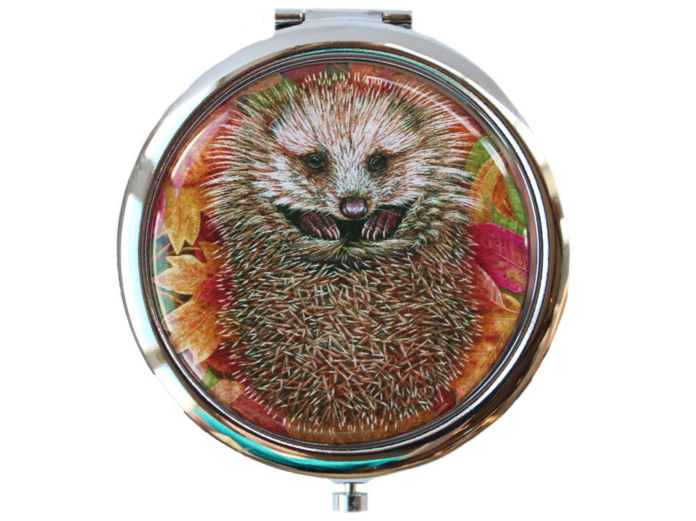 hedgehog-mirror--on-white