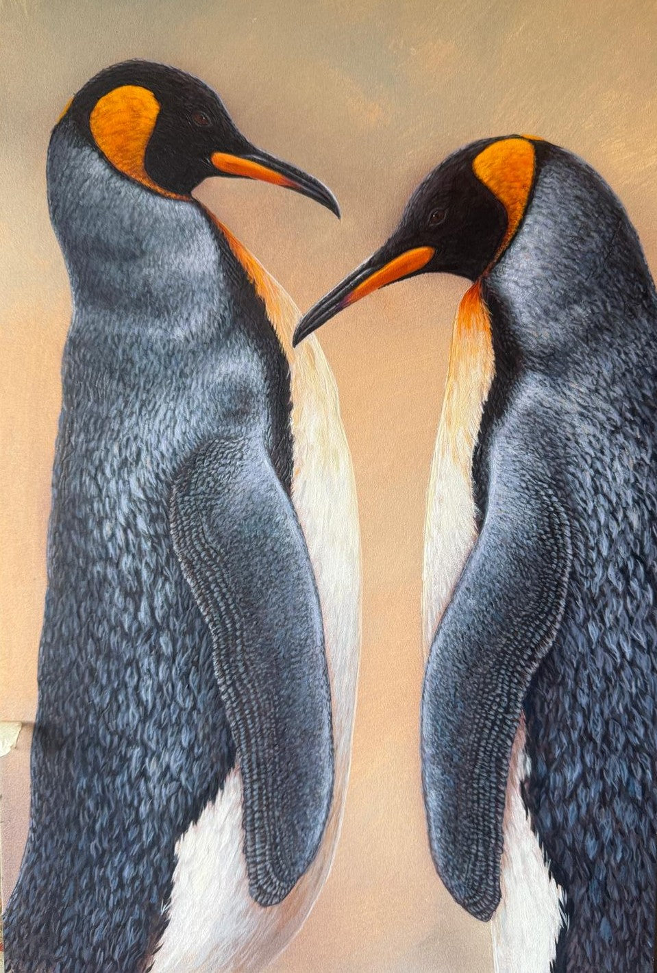 King Penguin Courtship | Original Painting