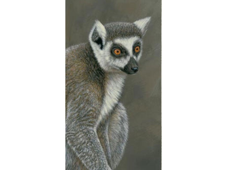 lemur-card