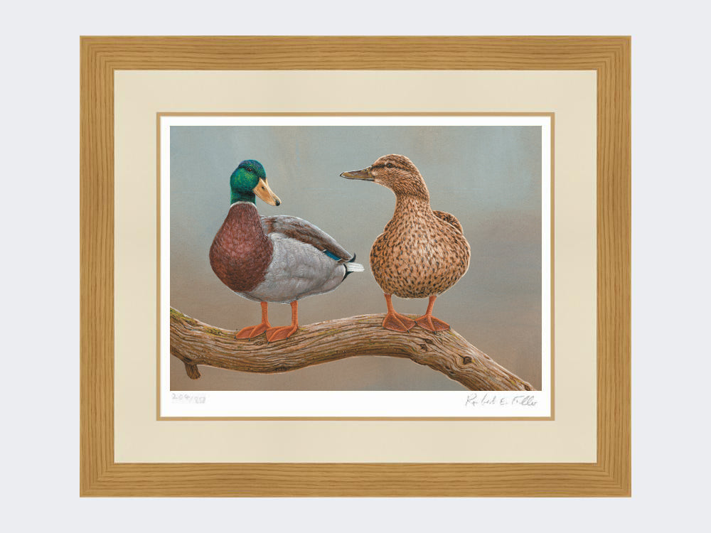 mallards-twos-a-pair-light-oak