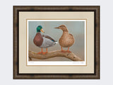 mallards twos a pair-medium-dark-grey-burr