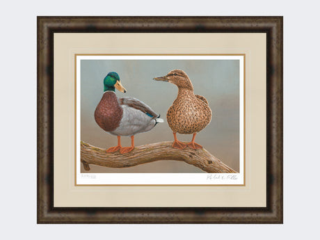 mallards twos a pair-medium-dark-grey-burr