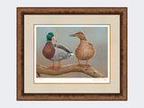 mallards-twos-a-pair-medium-walnut-burr