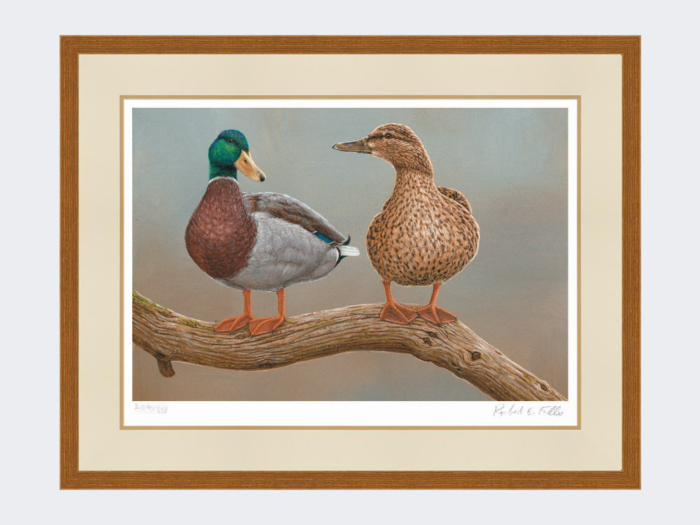 mallards twos a pair-rustic-country