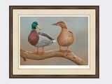 mallards twos a pair-small-dark-grey-burr