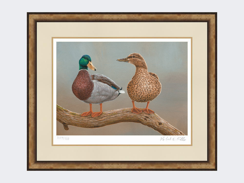 mallards-twos-a-pair-small-light-burr