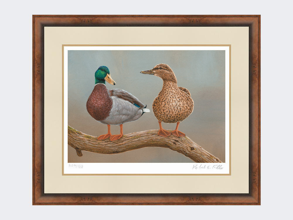 mallards-twos-a-pair-small-walnut-burr