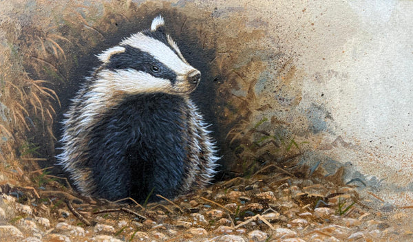 Badger emerging from sett | Original Painting