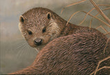 otter painting