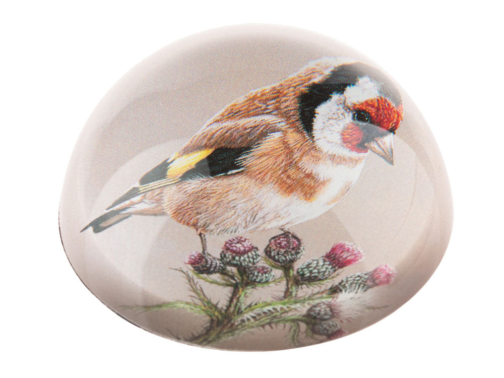 paperweight-goldfinch-1