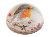 paperweight-robin-1