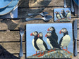 puffin-placemat-coaster