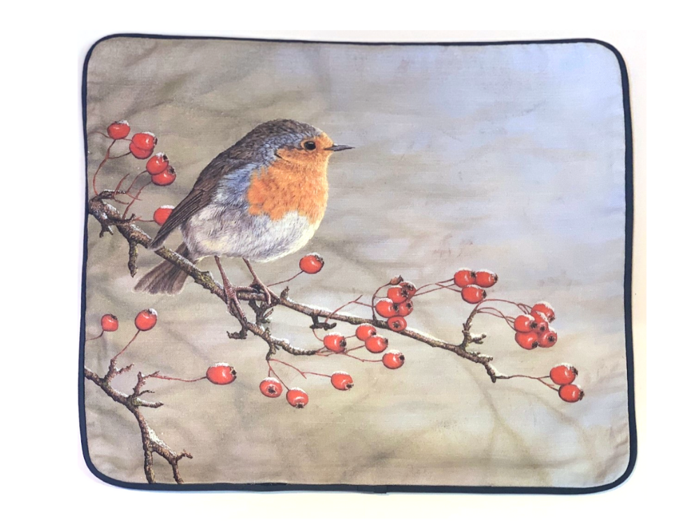 robin-cushion-cover