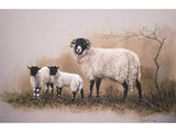 sheep-lamb-card